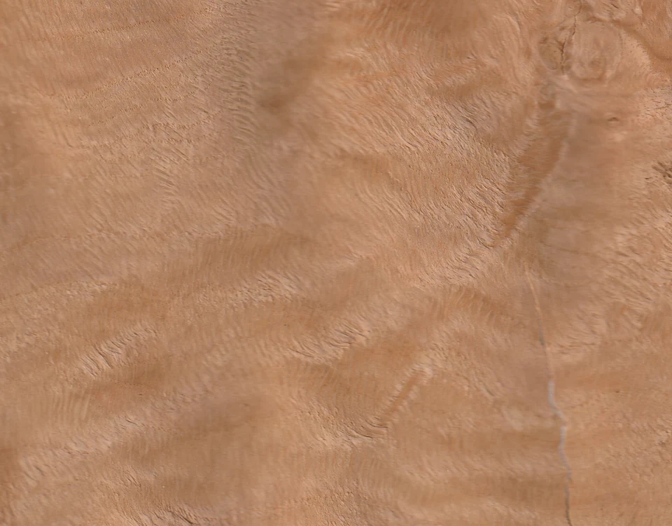 عينة Eleganza OAK BURL بالرمز V047